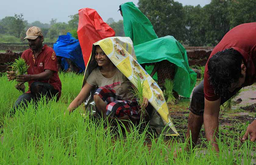 Farm of Happiness