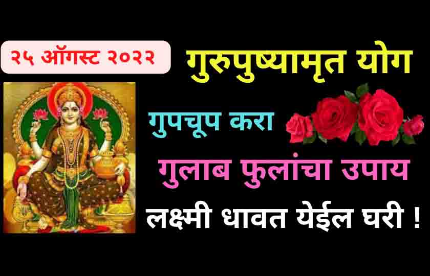 २५ ऑगस्ट गुरुपुष्यामृत योगाच्या दिवशी गुलाबाच्या फुलांचा उपाय गुपचूप करा. पैशाने घर भरून जाईल.