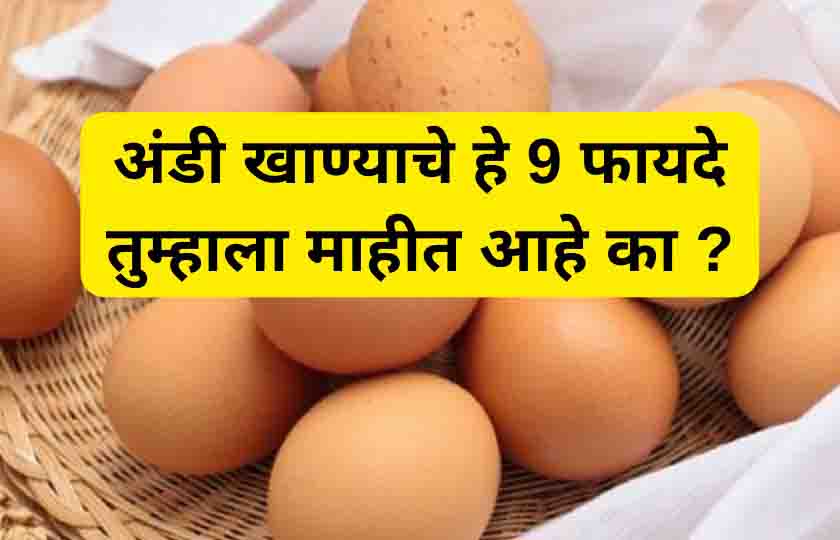 अंडी खाण्याचे फायदे., Benefits of eating eggs.